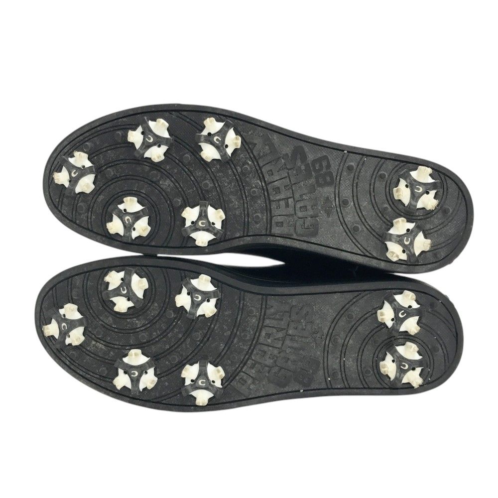 パーリーゲイツ