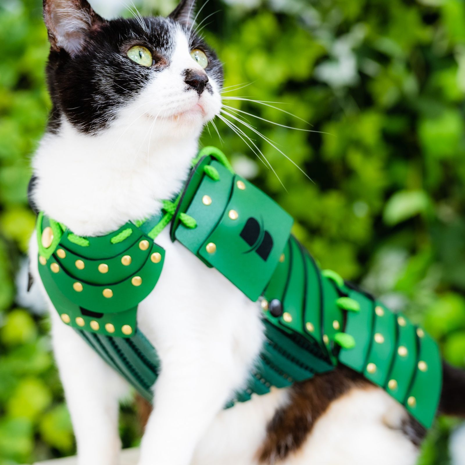 aruBuy ペット鎧 猫 小型犬用 緑