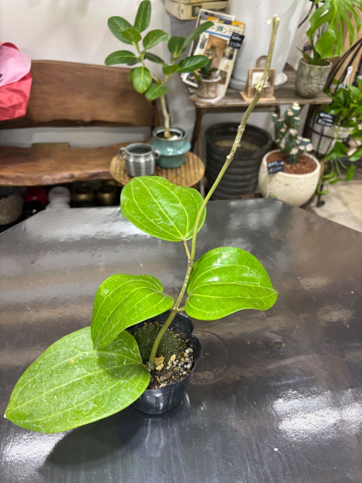 NEW MAGIC SEAL ビタクラフト 人気 NO. 2903 ステンレス鍋@ 新品 NEW