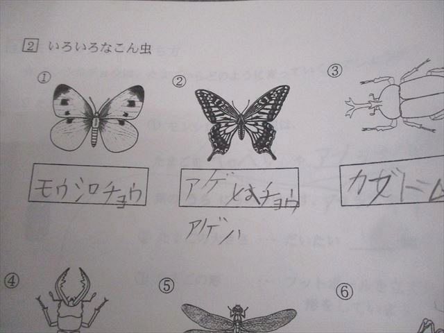 浜学園 小3 はじめての理科 第1〜5回 計5冊 012s2D 浜学園 小3 はじめての理科 第1～5回 計5冊 012s2D