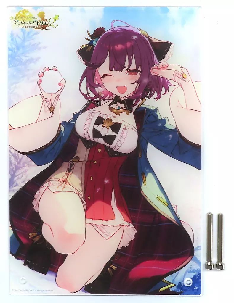 未開封品 ライザのアトリエ ライザ ガスト30周年くじA賞BIGアクリル