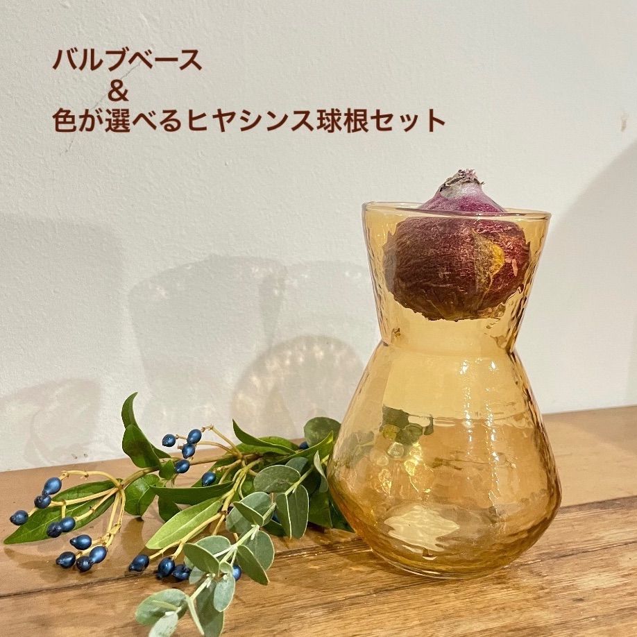 バルブベース＆色が選べるヒヤシンス球根セットA