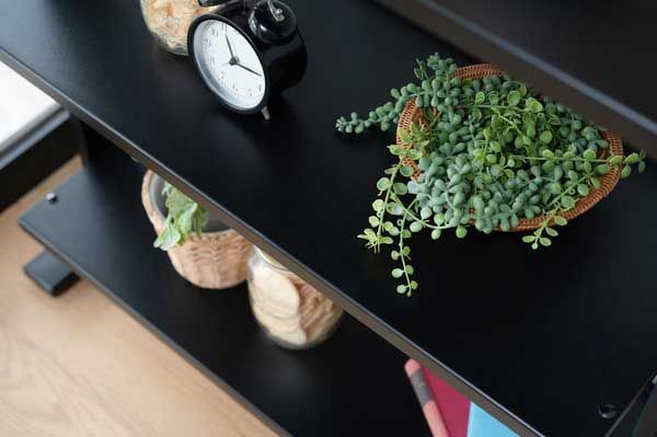 W80.5×D31×H85.5 91cm