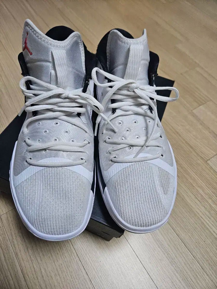 ジョーダン ズーム セパレート PF バスケシューズ 290