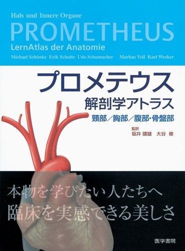 プロメテウス解剖学アトラス―頸部/胸部/腹部・骨盤部 - メルカリ