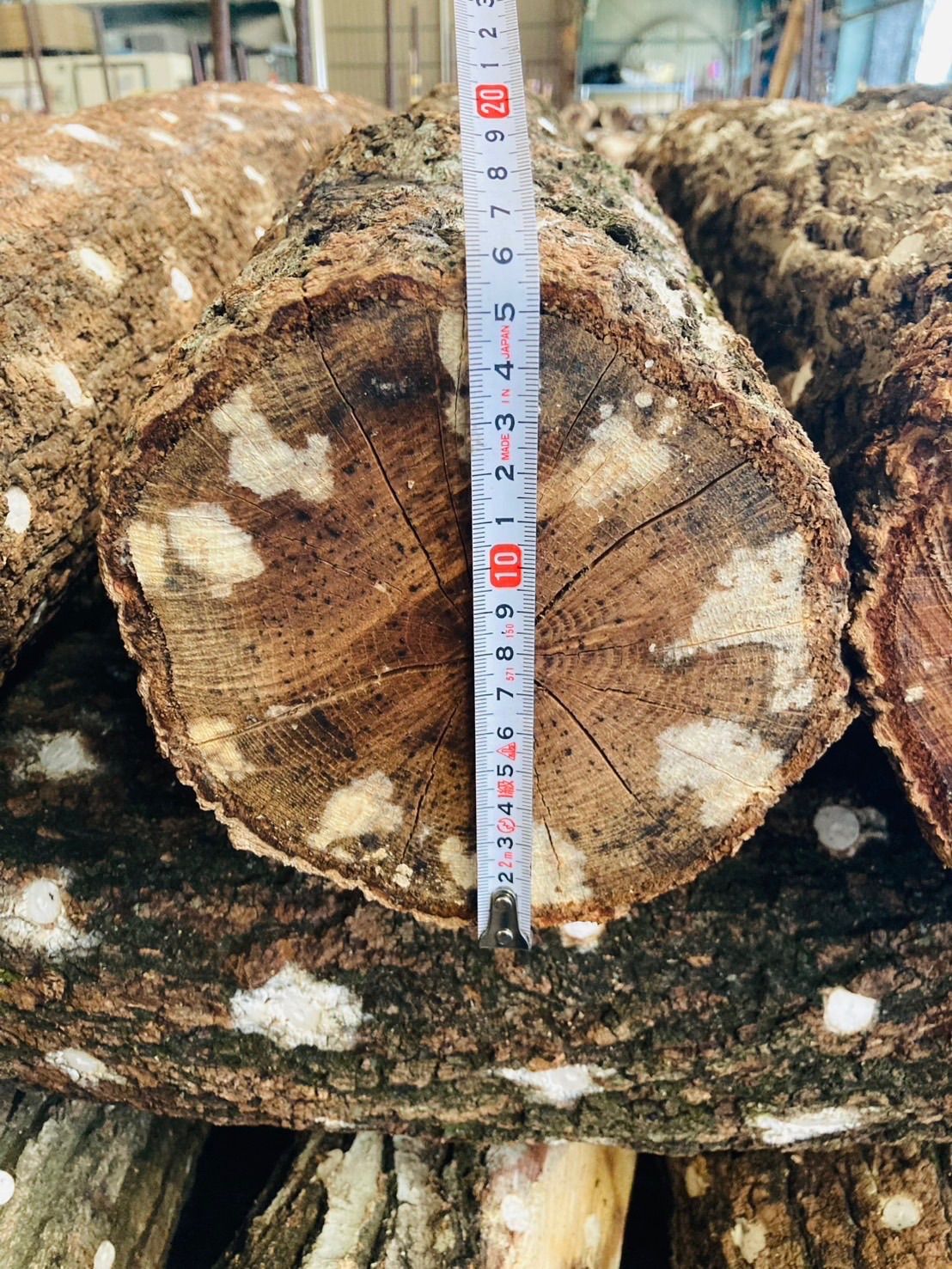 太さ15~20cm