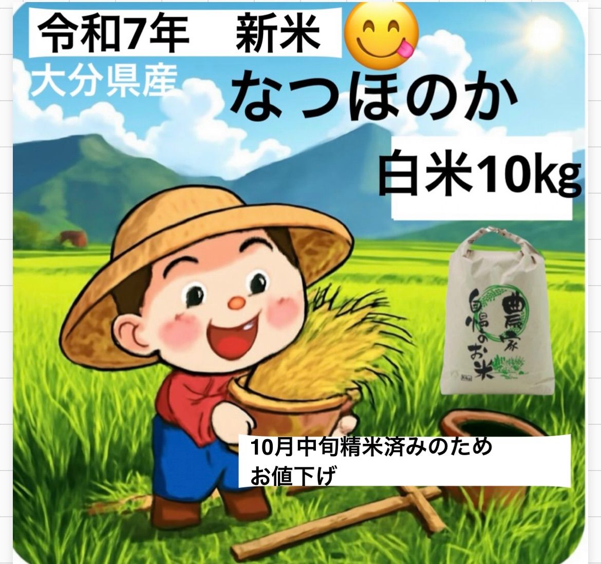 新米！大分県産 なつほのか 白米10kg 令和7年産 - メルカリ
