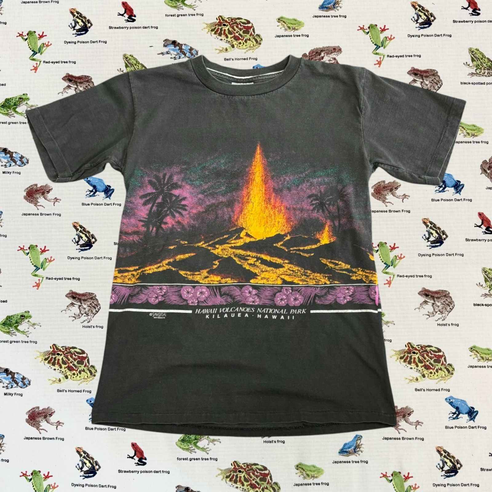 ハワイ 火山国立公園（ナショナルパーク） マグマ Tシャツ ONEITA アメリカ製 アメカジ　古着　アメリカ古着　都内　中野区　古着屋