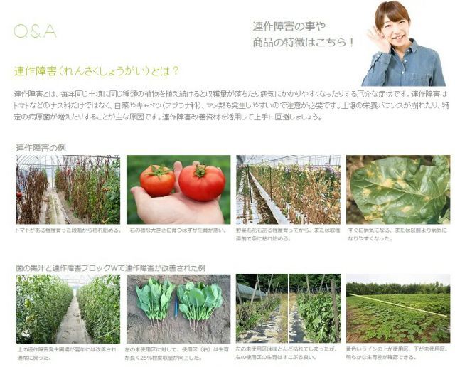 ～善玉菌入