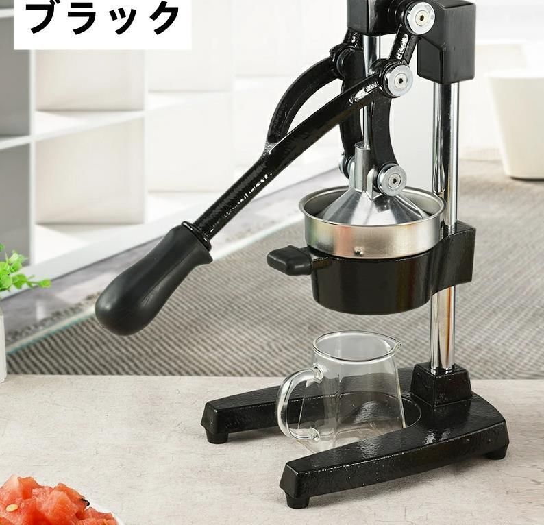 フレッシュジューサー フルーツ