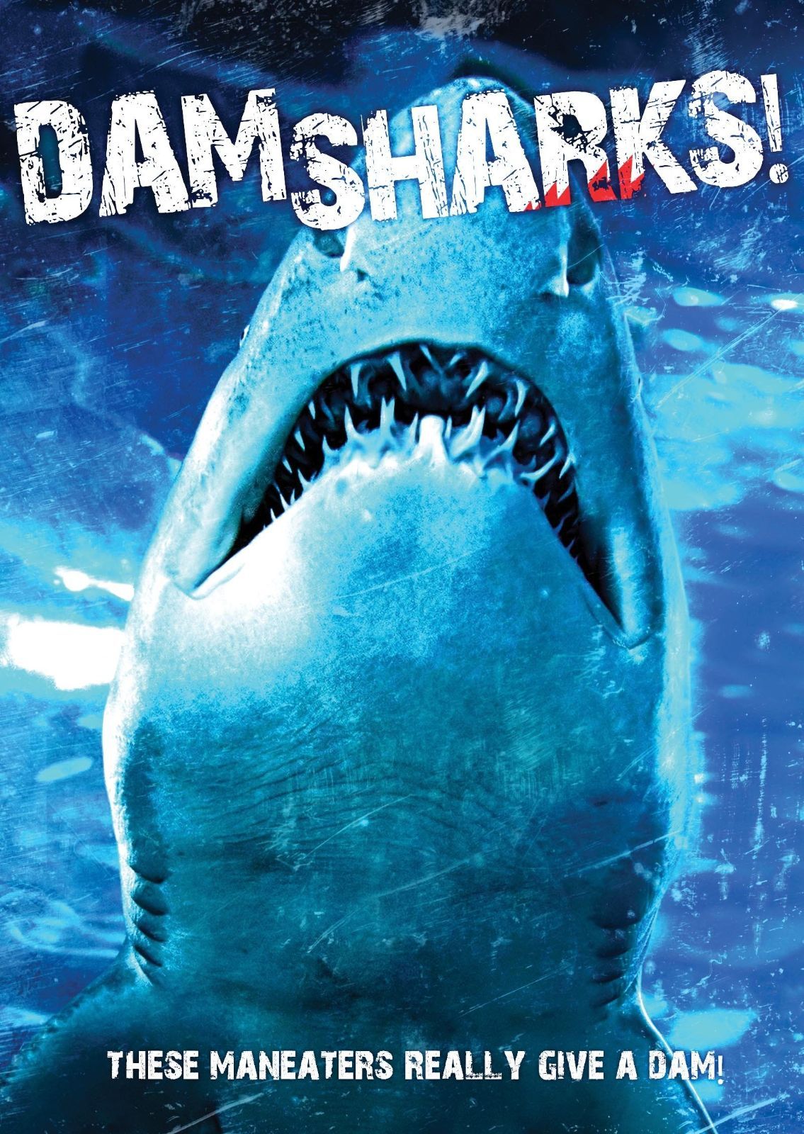 Dam Sharks DVD Import