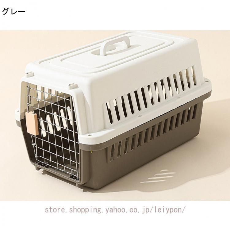 成猫