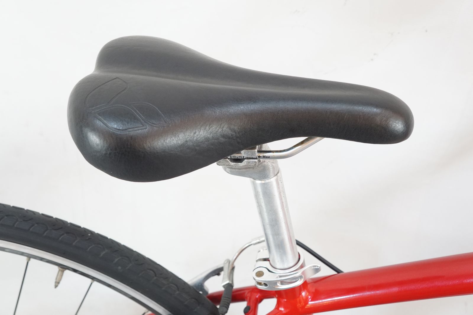 ジャイアント LIV