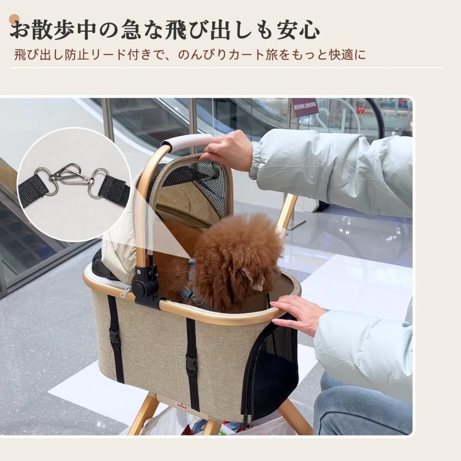 多頭 小型犬