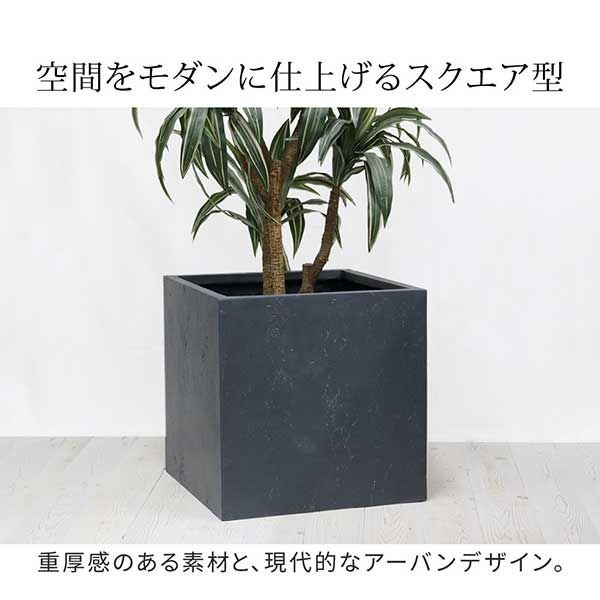 角型50cm