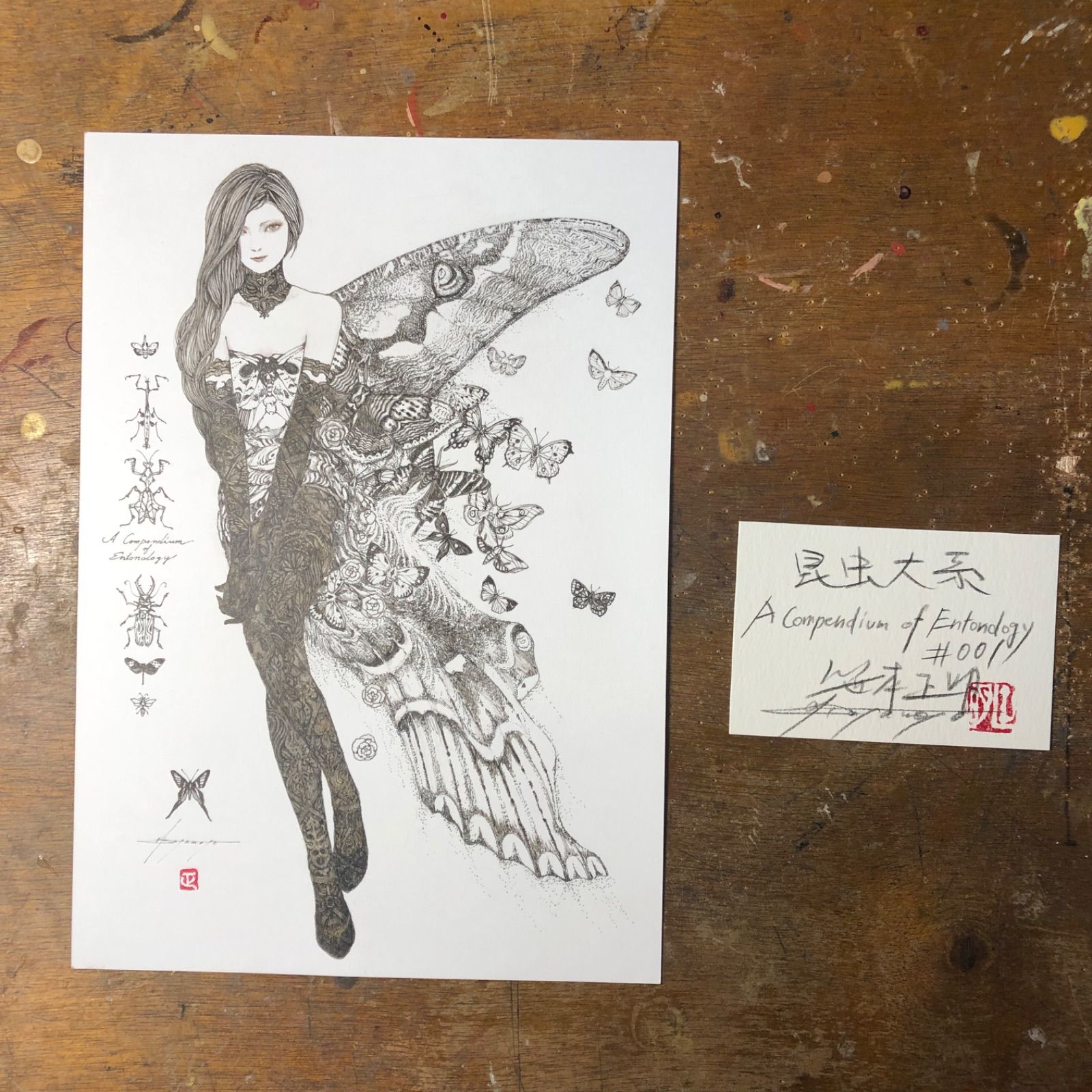 昆虫大系 INSECTSHOP KMY(インセクトショップKMY) (@insect_shop_kmy