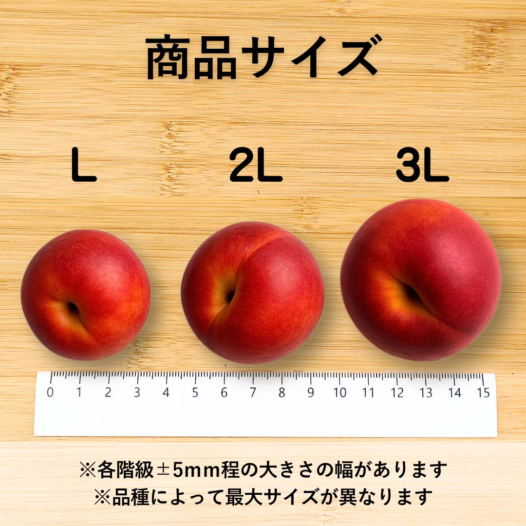ネクタリン4kgクール便 旬の果物 ネクタリン 2種類 クール便 - メルカリ