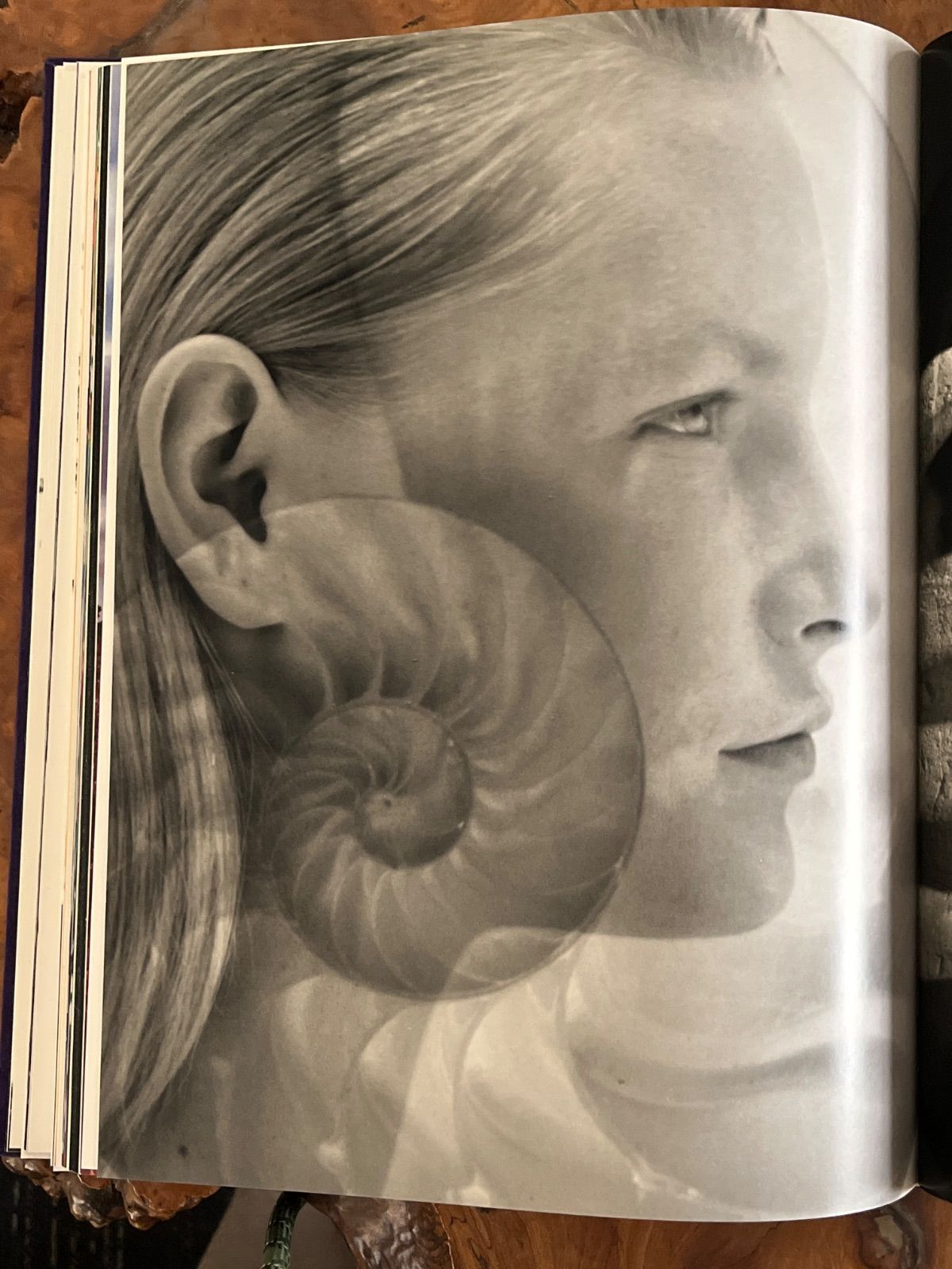 NICKNIGHT Schirmer Mosel Edition ニック・ナイト 古書古本 Totodo：Nick Knight: NICKNIGHT（ニック・ナイト