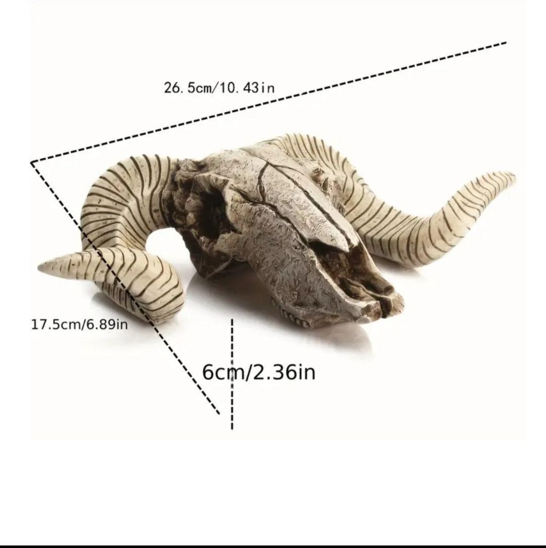 スカルホーン ヤギの頭蓋骨 壁掛け、置物などインテリアにカッコいい