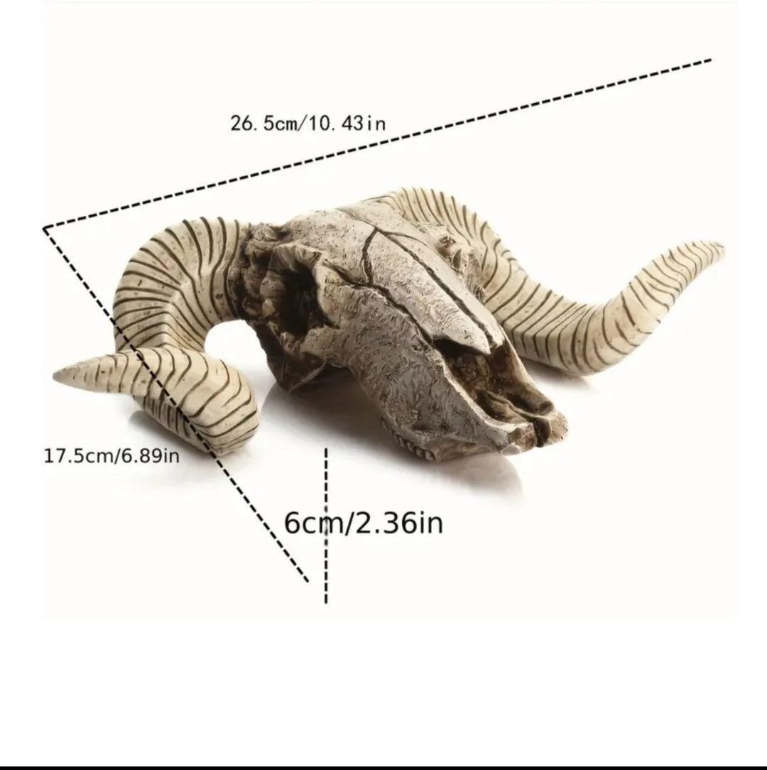 スカルホーン ヤギの頭蓋骨 壁掛け、置物などインテリアにカッコいいです！ - メルカリ