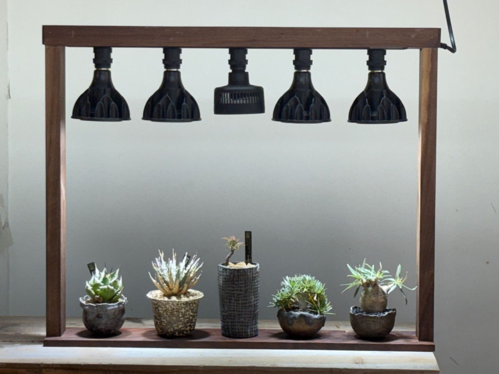 ウォルナット製 プランタースタンドフルセット