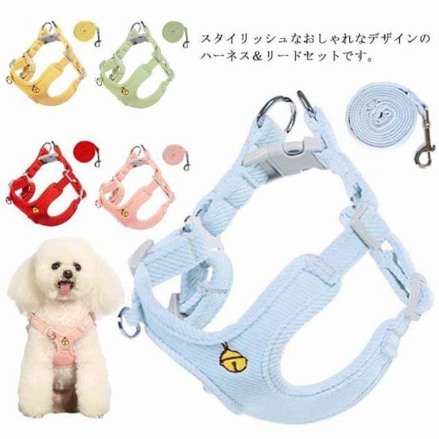 現品 ウバメガシ 特大苗 2mほど 山採り