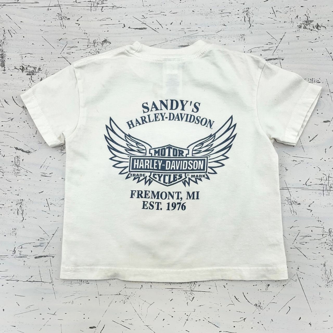 US古着・17年】HARLEY DAVIDSON ハーレーダビッドソン プリントTシャツ 