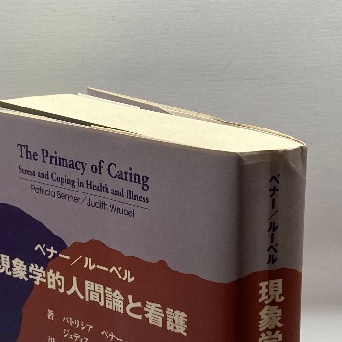 ベナー/ルーベル現象学的人間論と看護 医学書院 パトリシア・ベナー