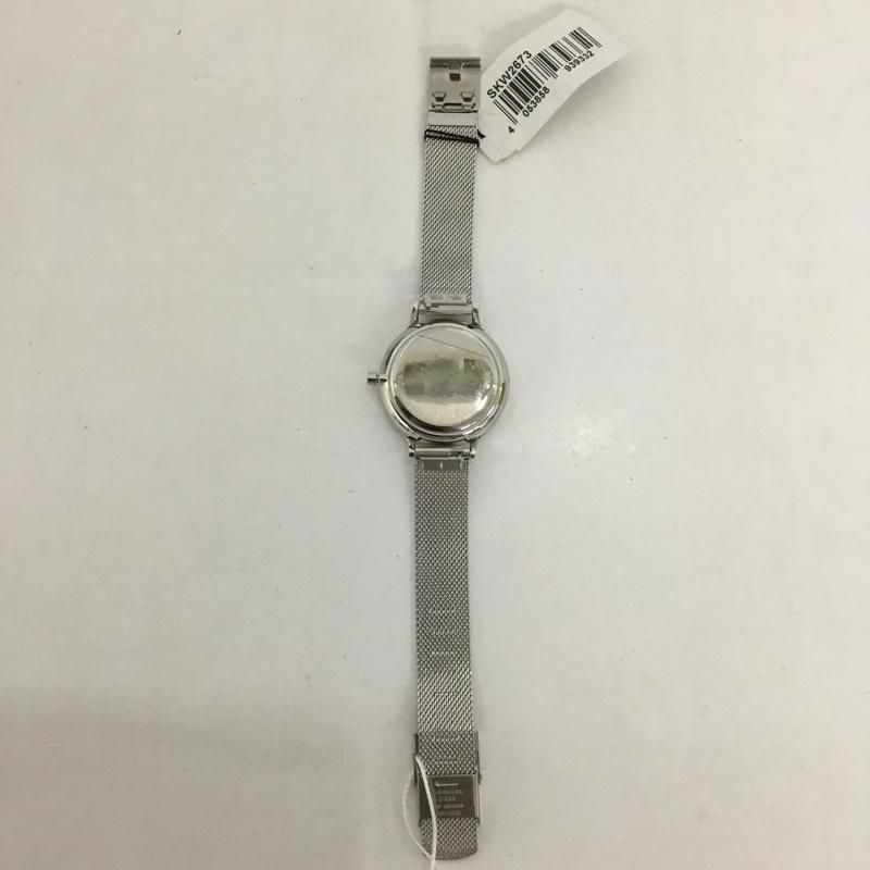 SKAGEN スカーゲン 腕時計 アナログ（クォーツ式） SKW2673 ステンレス