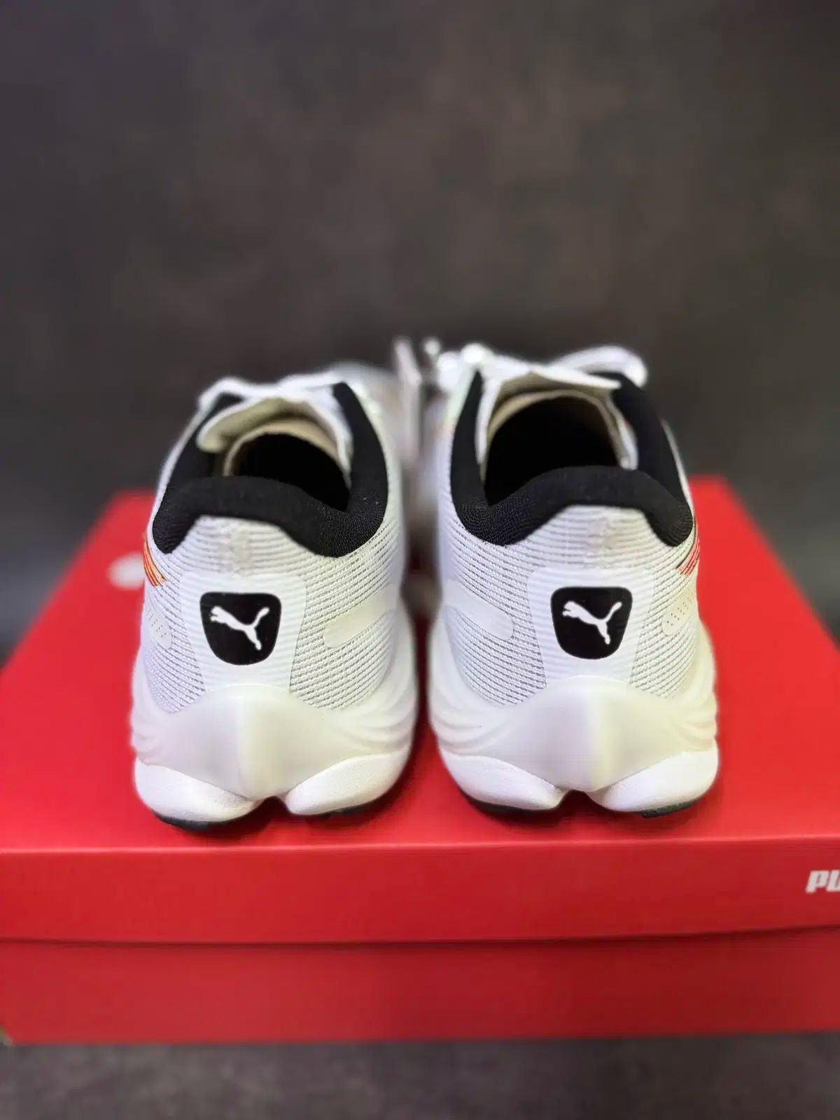 ベロシティ ニトロ