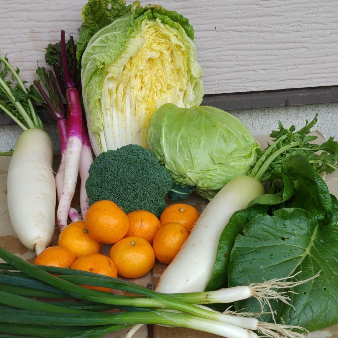 淡路島野菜詰め合わせ80サイズ - 野菜