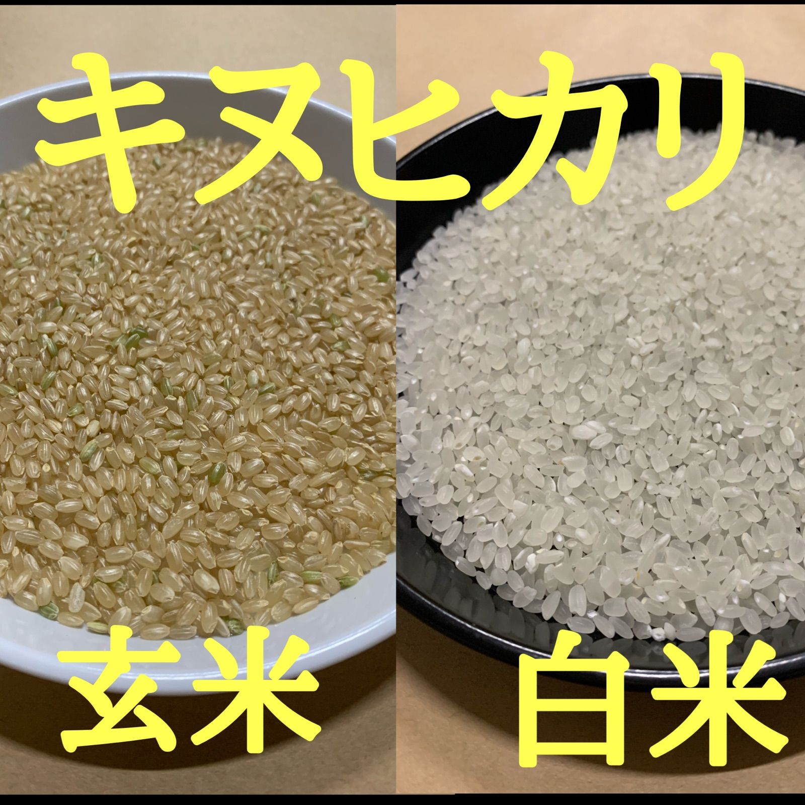 100％本物 新米 令和4年 産 キヌヒカリ 玄米30キロ 淡路島 精米小分け