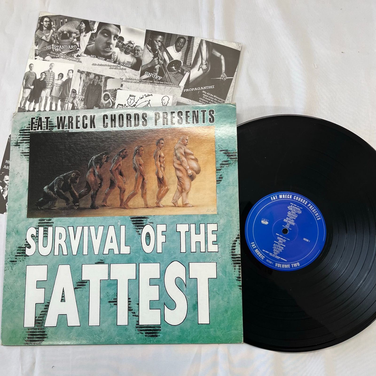 SURVIVAL OF THE FATTEST 12インチ レコード - 洋楽