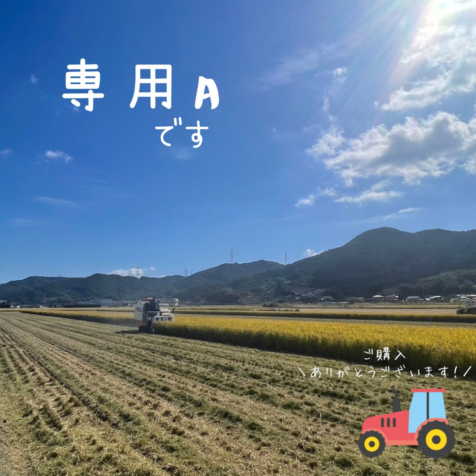 アウトドア somabito ソマチェア 黒 ケース付き スペシャルエンボス