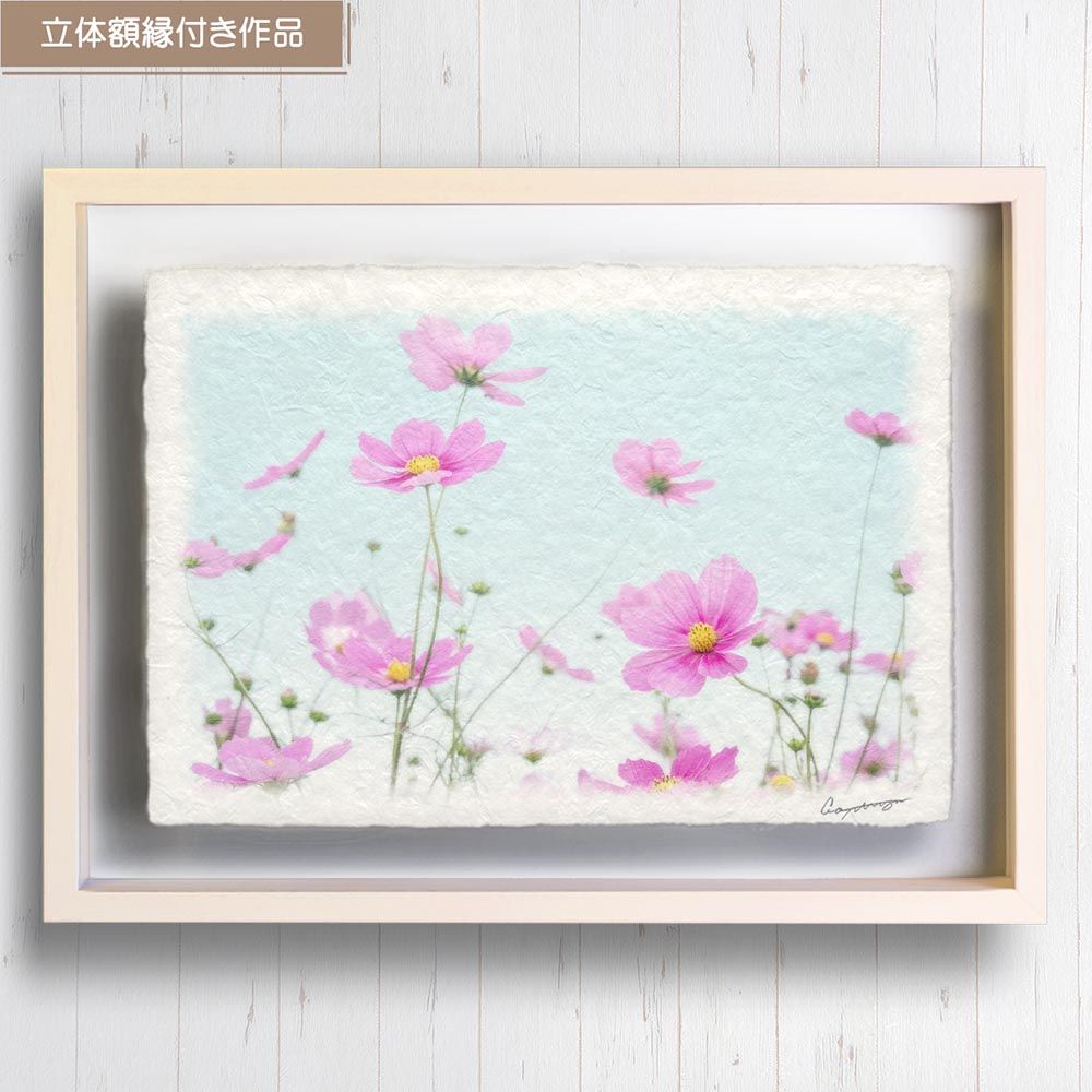 和紙の絵写真 「空に咲き乱れるピンクのコスモス」 立体額縁付き