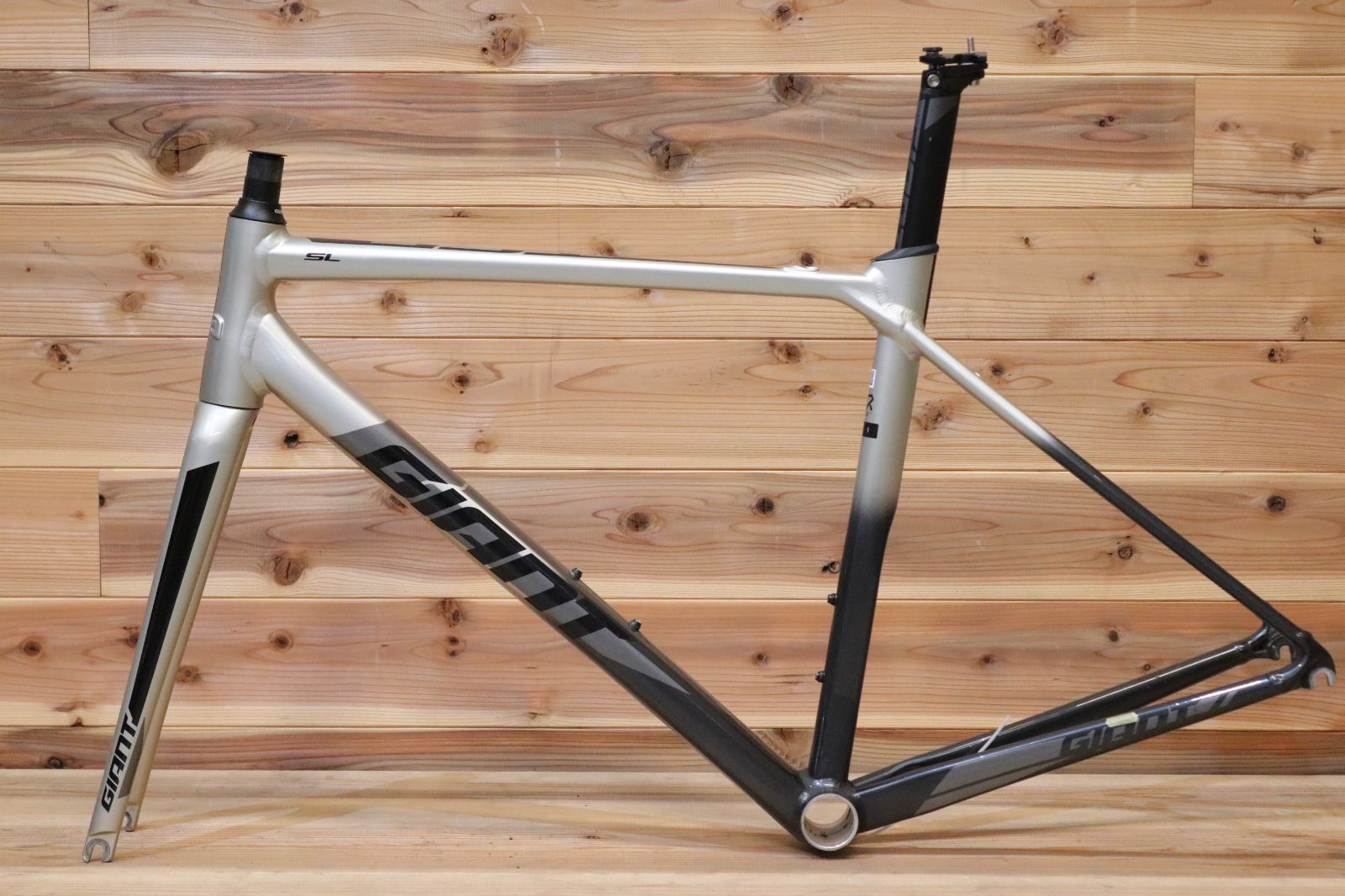 GIANT TCR