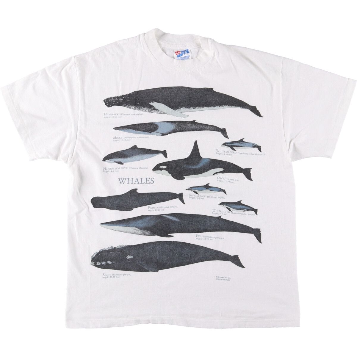 古着 90年代 ヘインズ Hanes クジラ柄 アニマルTシャツ メンズL相当 ヴィンテージ|eaa548767