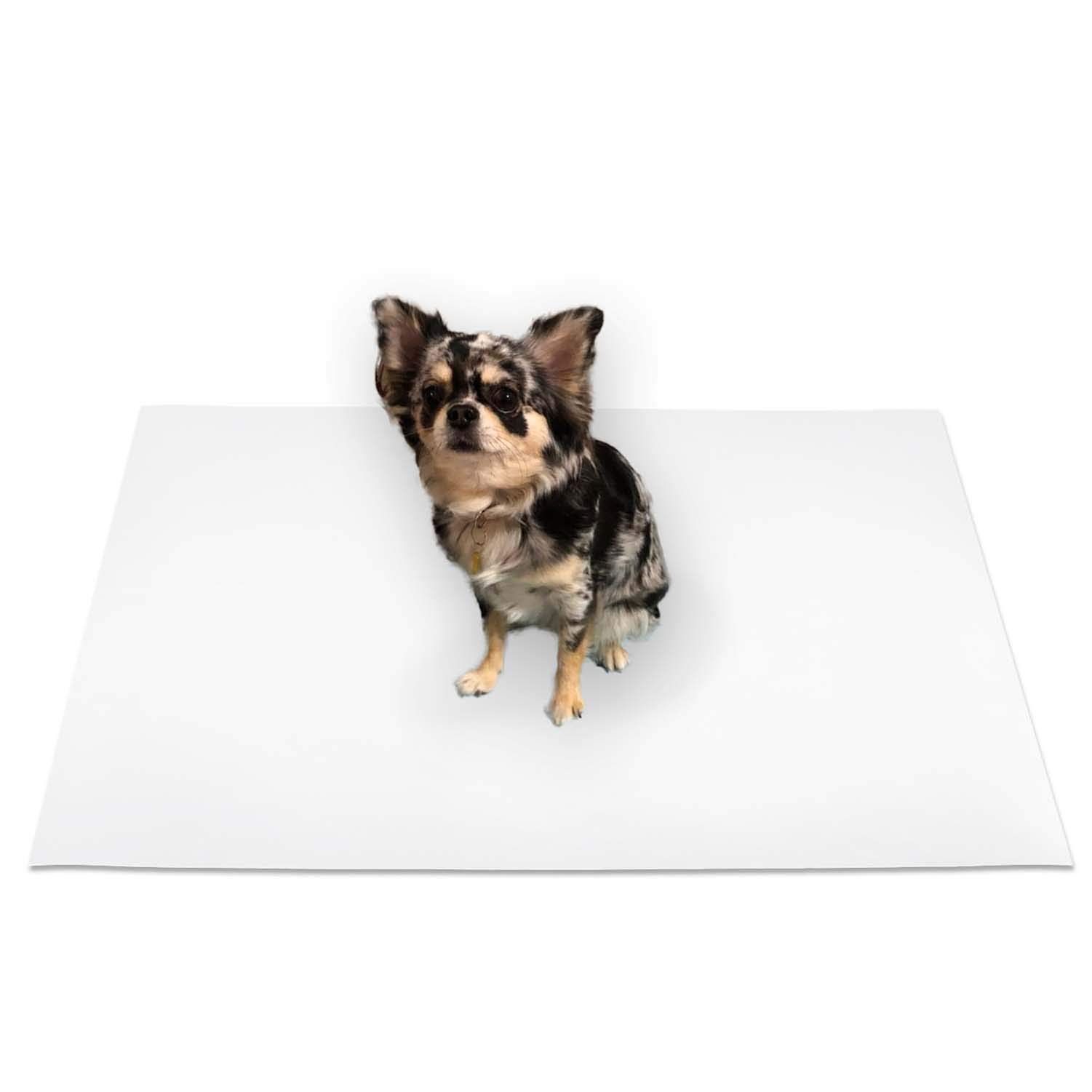 【新着商品】日泉ポリテック ペットマット 汚れてもサッと拭き取れる 日本製 半透明 約60×90cm