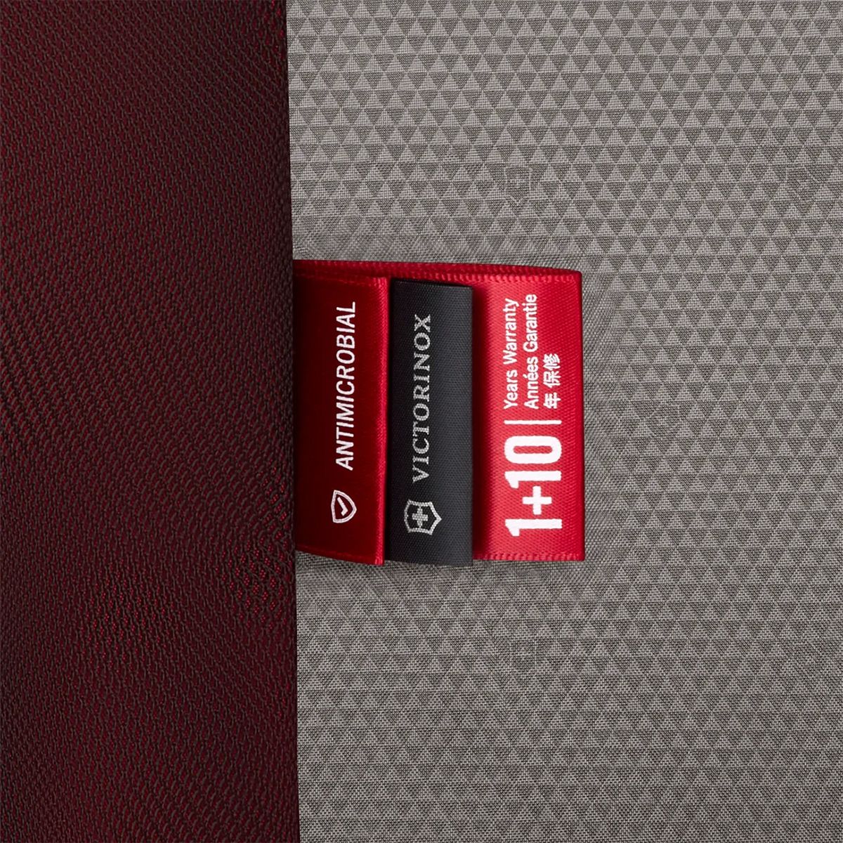 大容量 Crosslight