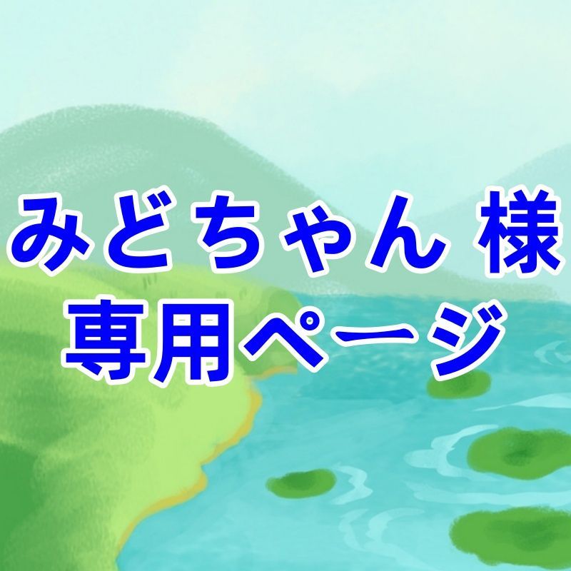 みどちゃん 様 専用ページ - メルカリ