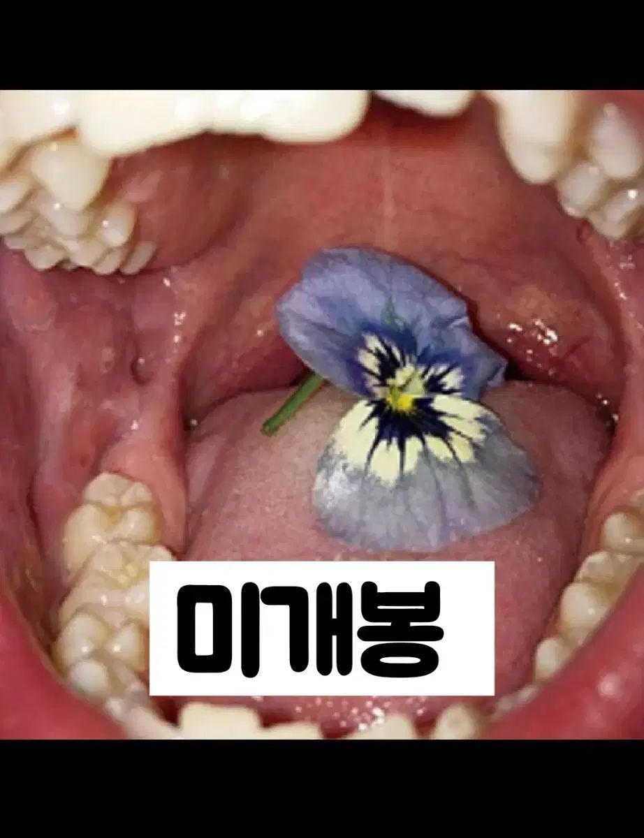 購入者決まりました Leesuho イ・スホ ／ Monika （ CD ）