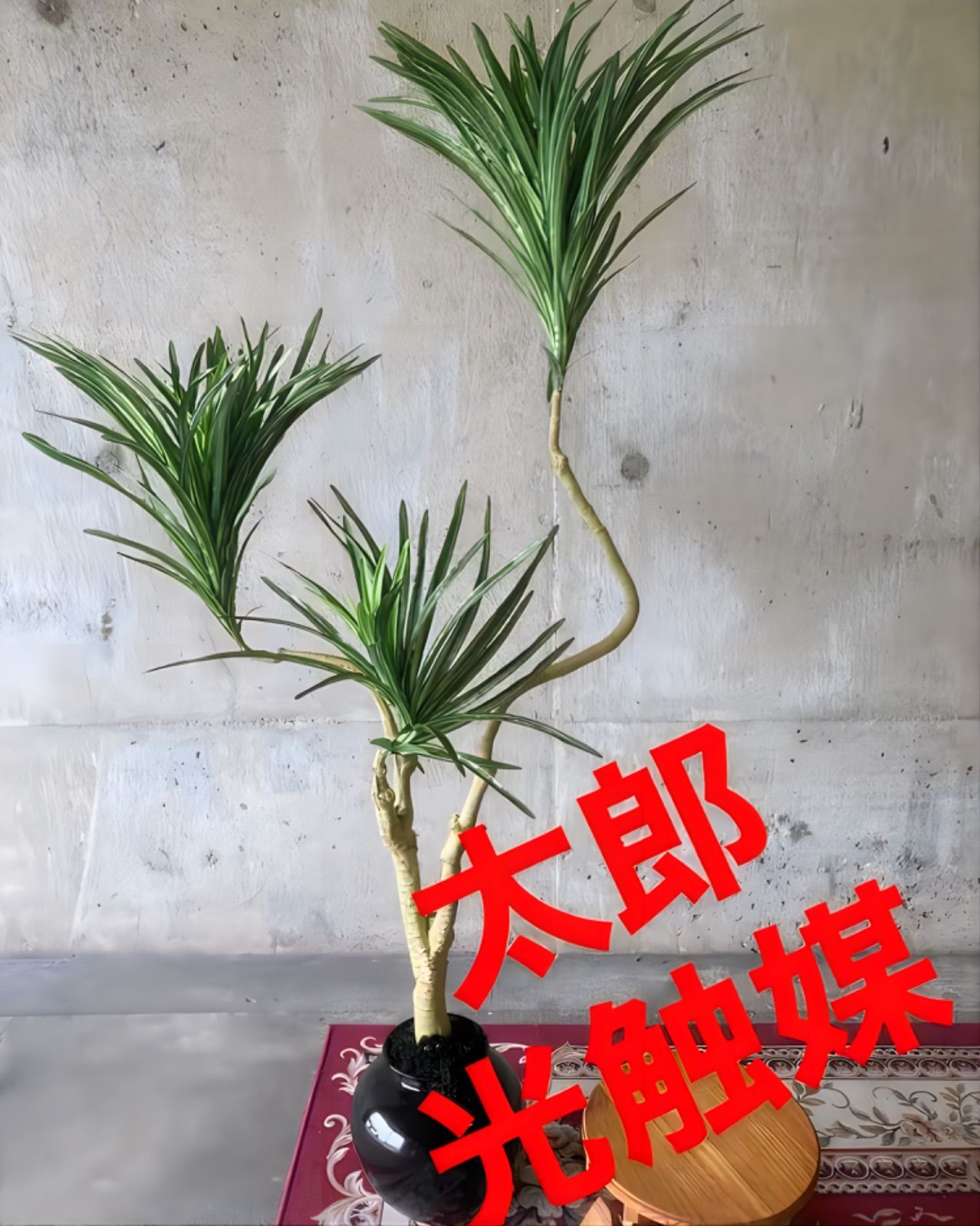 在庫処分 フェイクグリーン 光触媒 人工観葉植物 ウォールグリーン ...