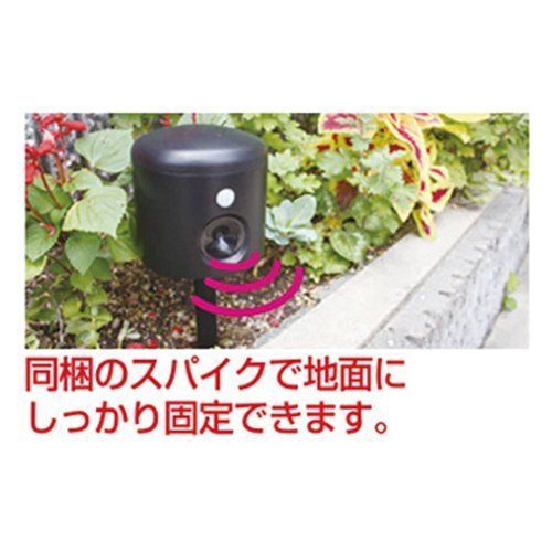 ブラックミニ IJ-ANB-04-BK