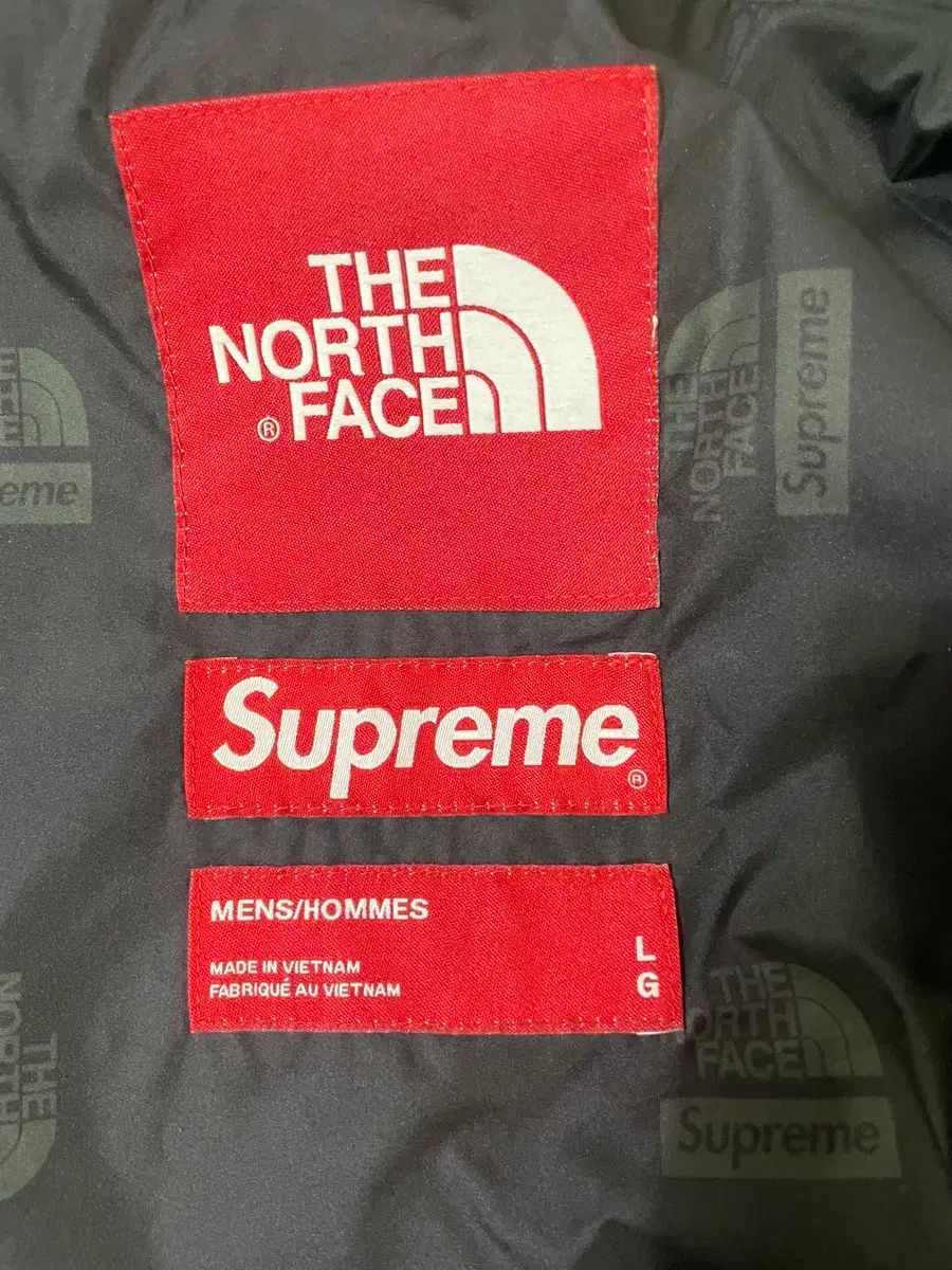 Supreme THE NORTH FACE ザノースフェイス RTG シュプリーム ノースフェイス RTG シューノ