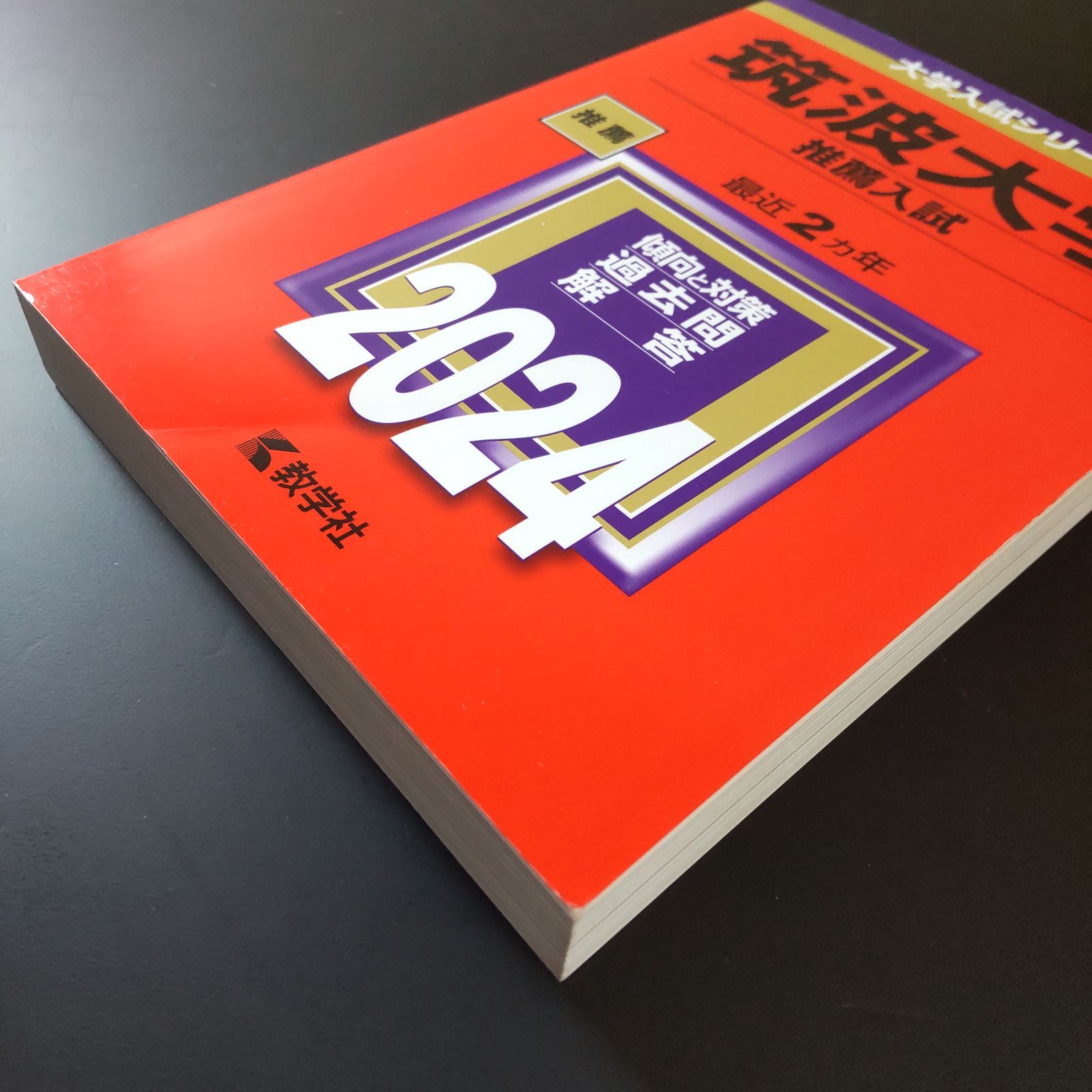 筑波大学推薦入試赤本セット10年分(2015年度〜2024年度) 筑波大学推薦入試赤本セット10年分(2015年度〜2024年度)