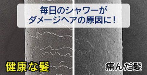 KAKUDAI 浄水シャワー