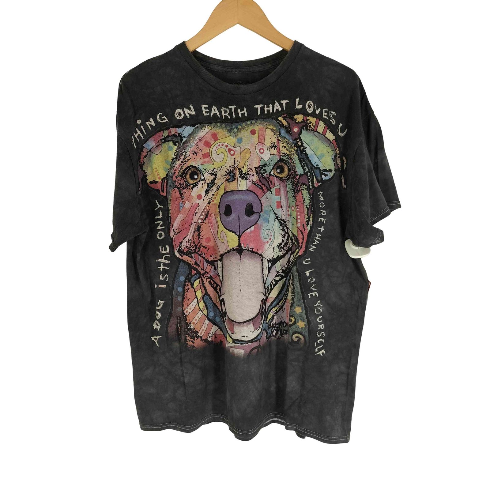 ユーズドフルギ USED古着 {{3D TEES}} 00s Dean Russo Pit Bull graphic art T-shirt メンズ import：L 