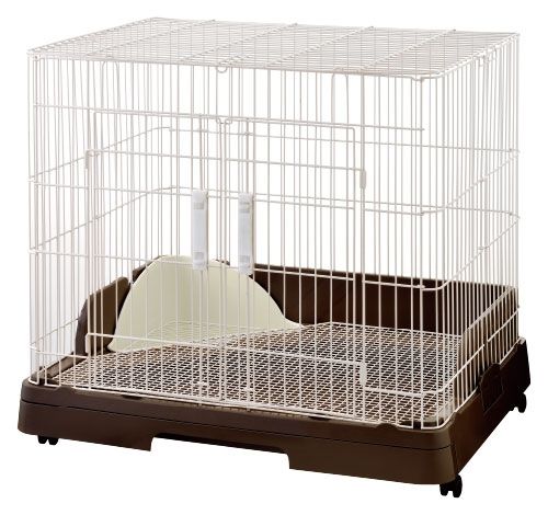 GEX ジェックス ラビんぐ スマートルーム