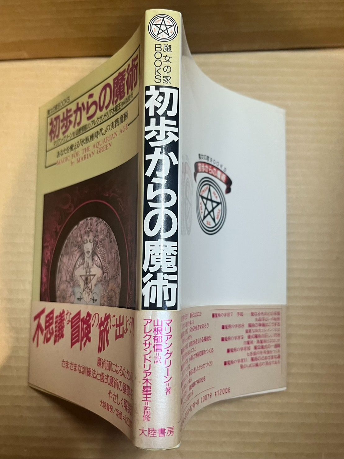 平和屋着物○螺鈿作家 甲斐泰造 色無地 螺鈿 花唐草地紋 濃鼠色 金彩
