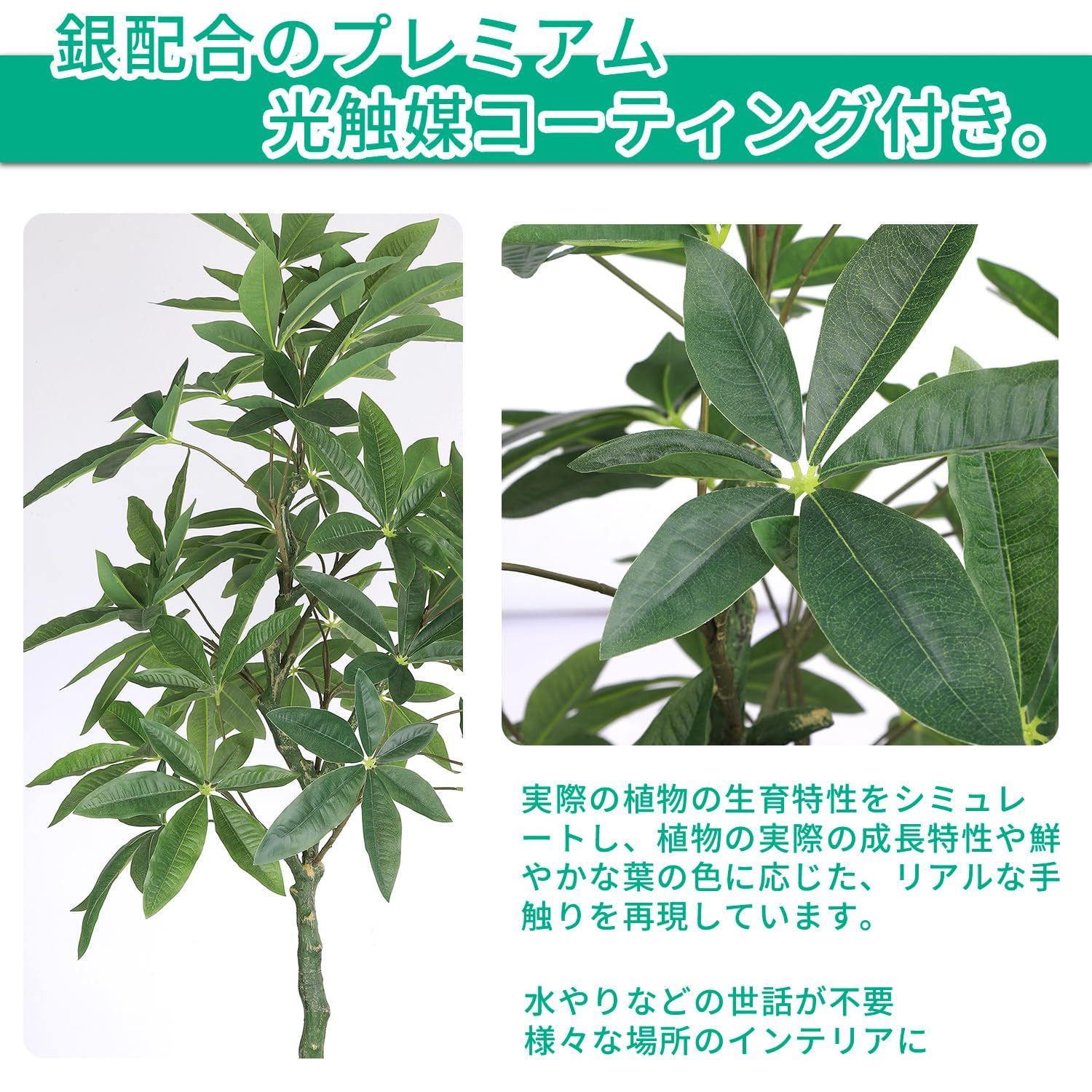 観葉樹